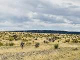 Lot 239 Turkey Ridge Ranch - Photo 6