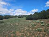 TBD Cherokee Lane - Photo 10