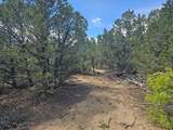 TBD Cherokee Lane - Photo 11
