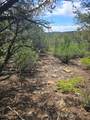 TBD Cherokee Lane - Photo 12