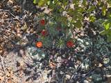 TBD Cherokee Lane - Photo 14
