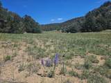 TBD Cherokee Lane - Photo 25