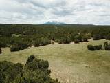 TBD Cherokee Lane - Photo 7