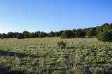 TBD La Veta Pines Ranches Rd - Photo 15