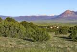 TBD La Veta Pines Ranches Rd - Photo 19