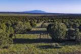 TBD La Veta Pines Ranches Rd - Photo 34
