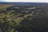 TBD La Veta Pines Ranches Rd - Photo 36