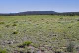 000 Lot 36 Phase I River Ridge - Photo 12