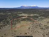 000 Lot 36 Phase I River Ridge - Photo 17