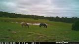 000 Lot 36 Phase I River Ridge - Photo 36