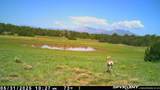 000 Lot 36 Phase I River Ridge - Photo 37