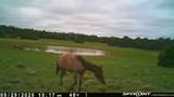 000 Lot 36 Phase I River Ridge - Photo 38