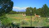 000 Lot 36 Phase I River Ridge - Photo 39