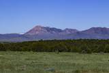 000 Lot 36 Phase I River Ridge - Photo 7