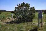 000 Lot 36 Phase I River Ridge - Photo 8