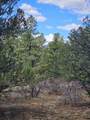 TBD Aspen Lane - Photo 12
