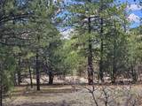 TBD Aspen Lane - Photo 14