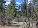 TBD Aspen Lane - Photo 17