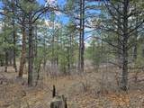 TBD Aspen Lane - Photo 19