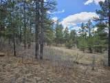 TBD Aspen Lane - Photo 26