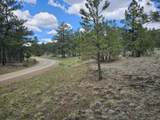 TBD Aspen Lane - Photo 8