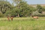 21087 I 25 - Photo 12