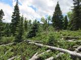  Valley Vista - Photo 19