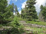  Valley Vista - Photo 22