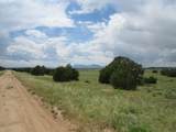  Greenhorn Village - Photo 1