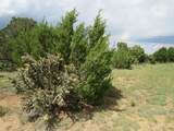  Greenhorn Village - Photo 10