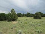  Greenhorn Village - Photo 11
