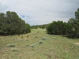 Greenhorn Village - Photo 12