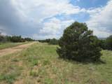  Greenhorn Village - Photo 13