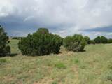  Greenhorn Village - Photo 14