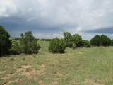  Greenhorn Village - Photo 15
