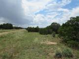 Greenhorn Village - Photo 2