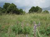  Greenhorn Village - Photo 3