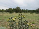  Greenhorn Village - Photo 6