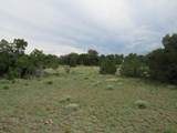  Greenhorn Village - Photo 7