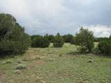  Greenhorn Village - Photo 8