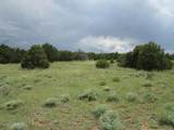  Greenhorn Village - Photo 9