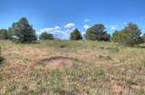  Lots 3&4 Navajo Ranch Estates - Photo 11