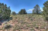  Lots 3&4 Navajo Ranch Estates - Photo 17