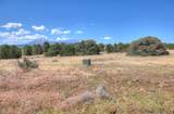  Lots 3&4 Navajo Ranch Estates - Photo 22