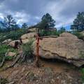 Unassigned Minehart Rd - Photo 12