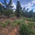 Unassigned Minehart Rd - Photo 13