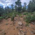 Unassigned Minehart Rd - Photo 14