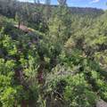 Unassigned Minehart Rd - Photo 19