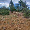 Unassigned Minehart Rd - Photo 2