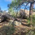 Unassigned Minehart Rd - Photo 25